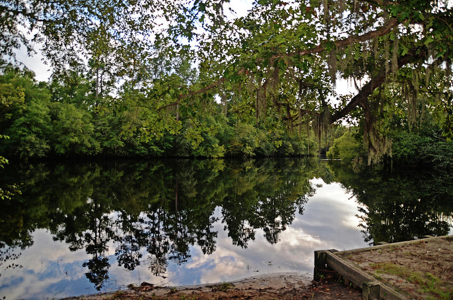 River Reflections Photograph by Linda Brown