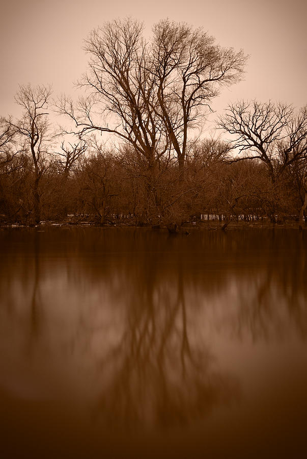 Chicago Photograph - River Reflections by Steve Gadomski