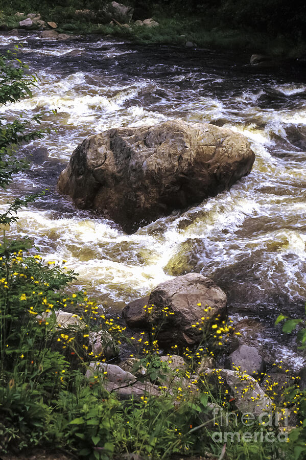 River Rock Photograph by Bob Phillips