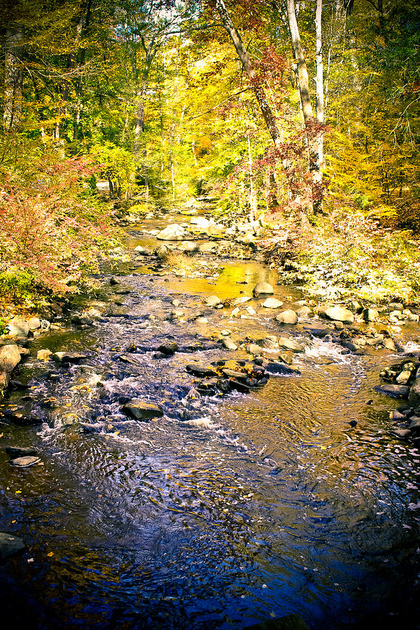 River Rock - Pocantico River Photograph by Colleen Kammerer