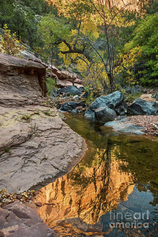 Zion National Park Photograph - River Rock Reflection by Jamie Pham