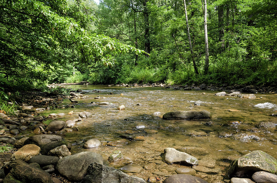 River Rock Shine by Claire Turner River Rock Shine by Claire Turner
