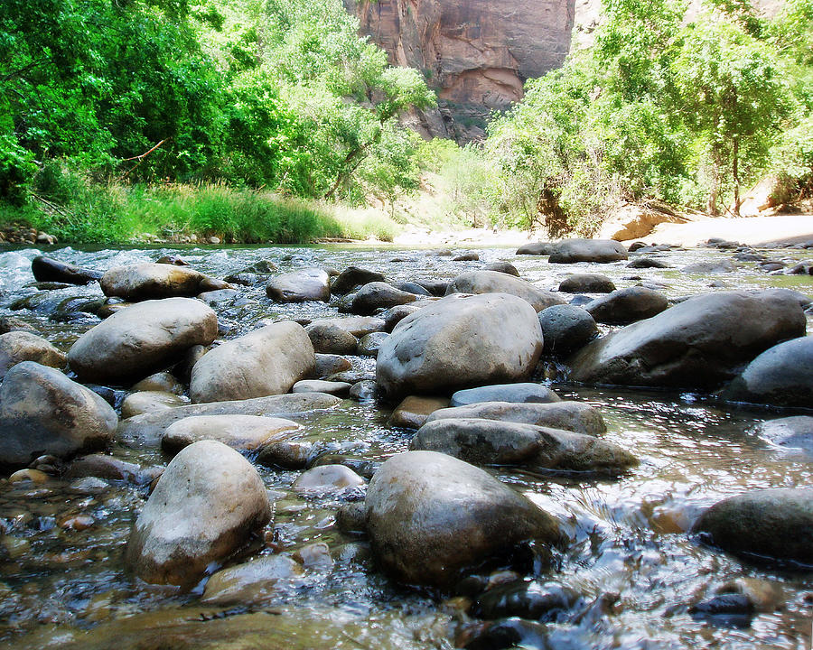 Zion National Park Photograph - River Rocks of the Virgin River by Gravityx9 Designs
