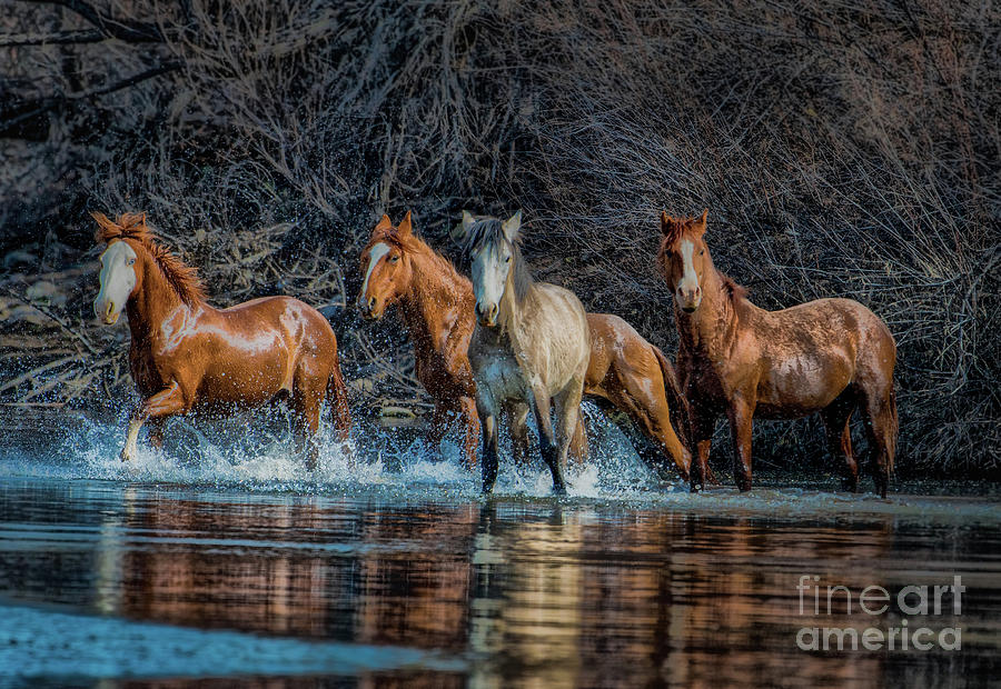 Horse Photograph - River Running by Lisa Manifold