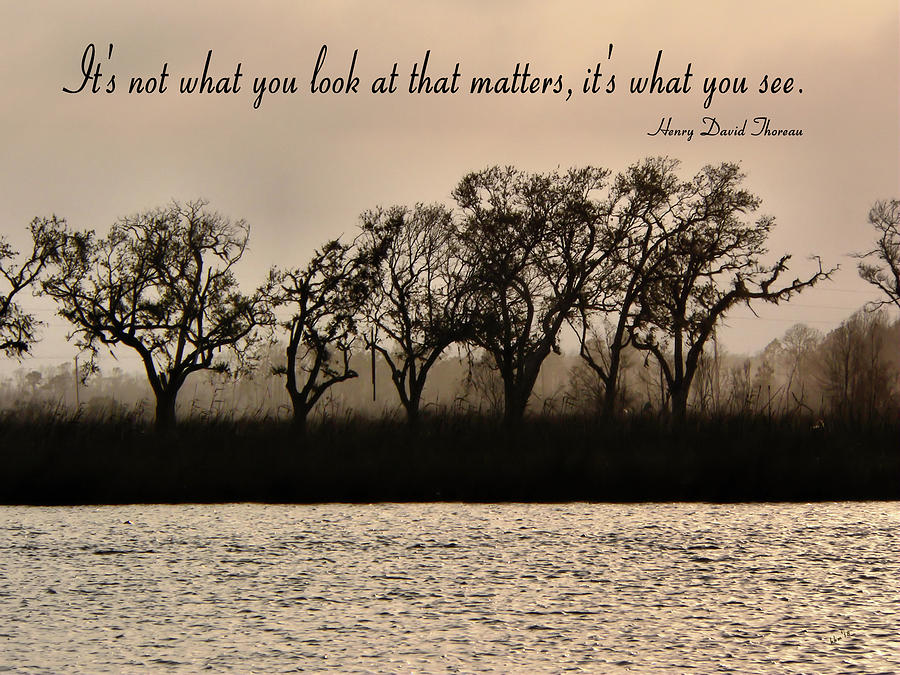 River Scene With Thoreau Quote Photograph by Kathy K McClellan