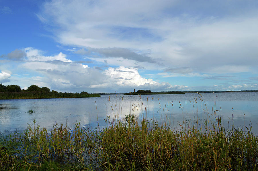 River Shannon At Hodson Bay. Photograph by Terence Davis