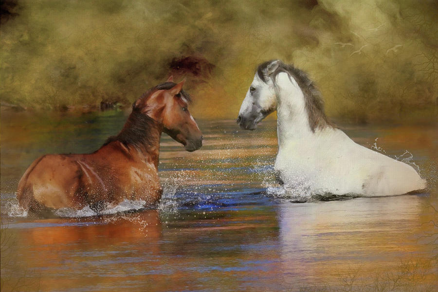 River Stallions  Digital Art by Posey Clements