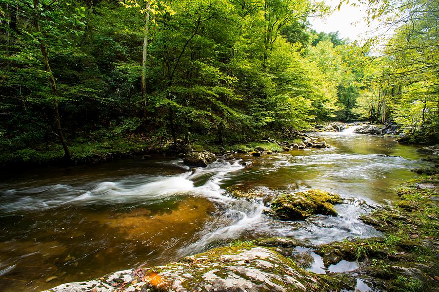 River surrounded by trees and plants Photograph by Artpics Fine Art