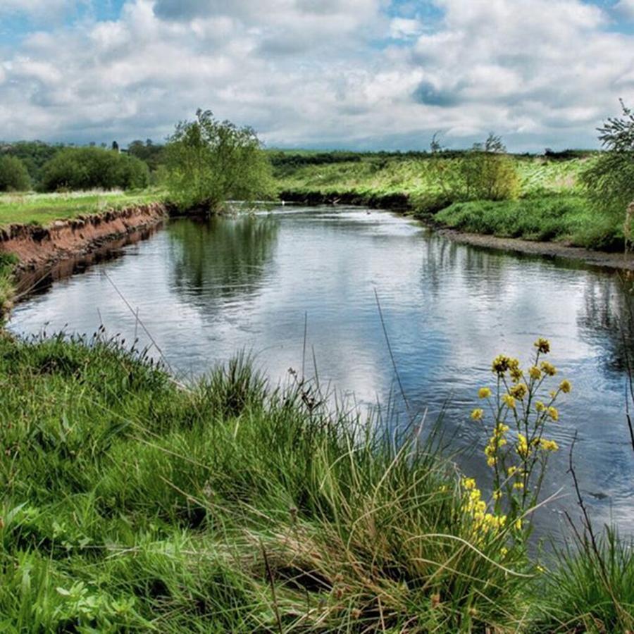 Nature Photograph - River Tame, Rspb Middleton, North by John Edwards