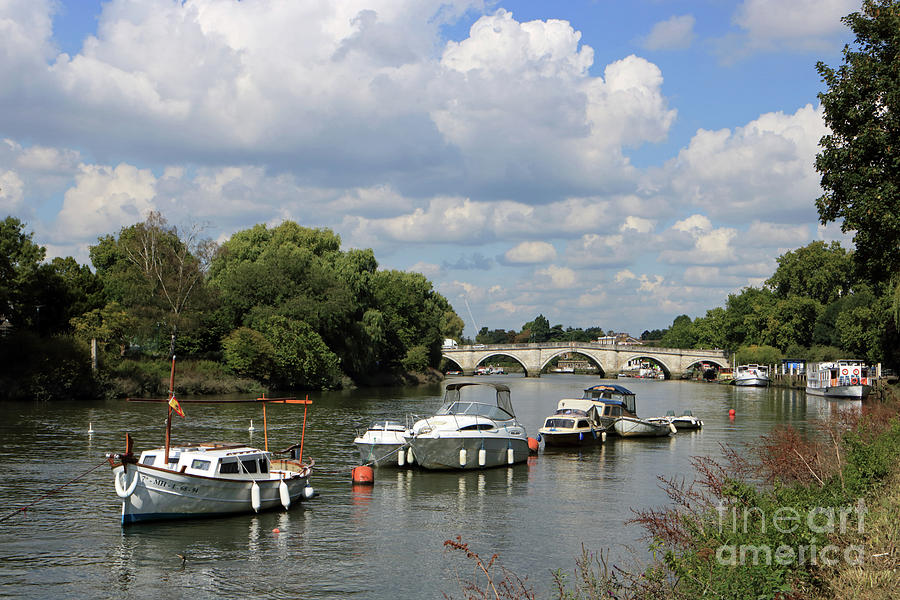 River Thames at Richmond Bridge UK Photograph by Julia Gavin