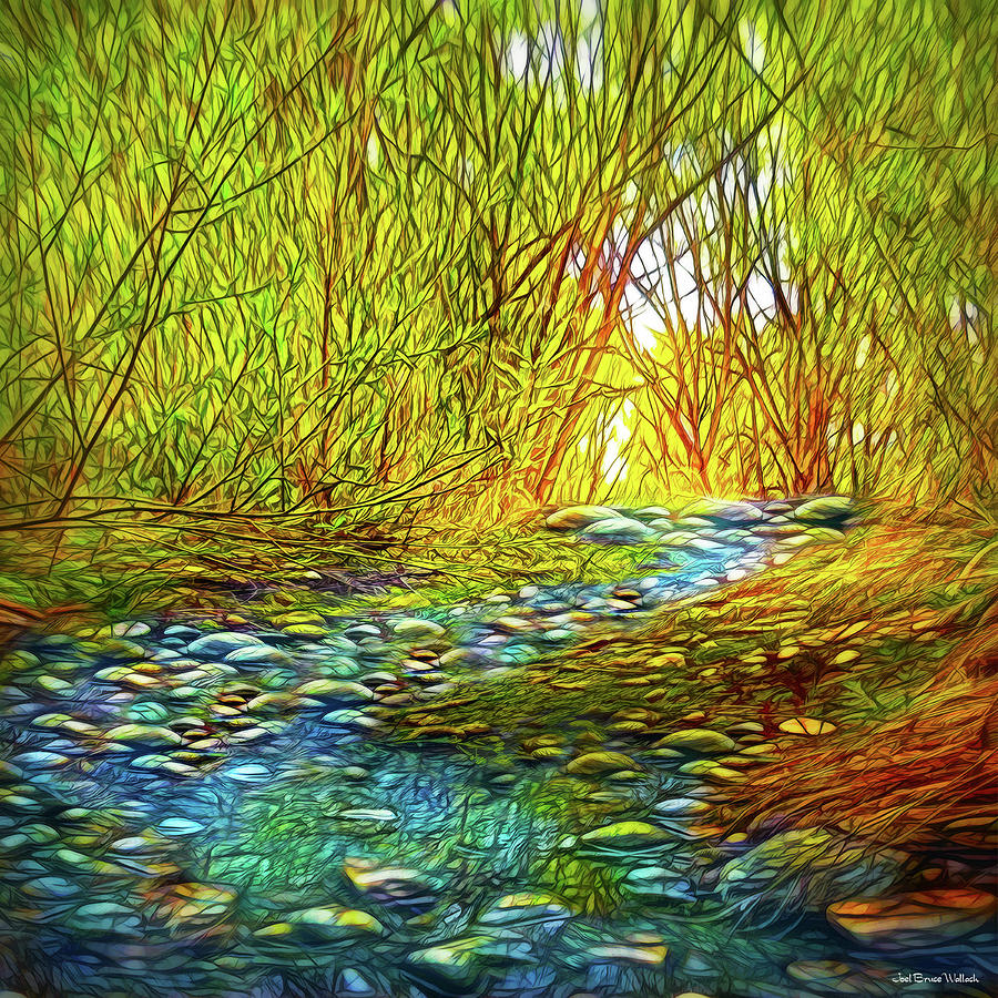 River Through The Woods Digital Art by Joel Bruce Wallach