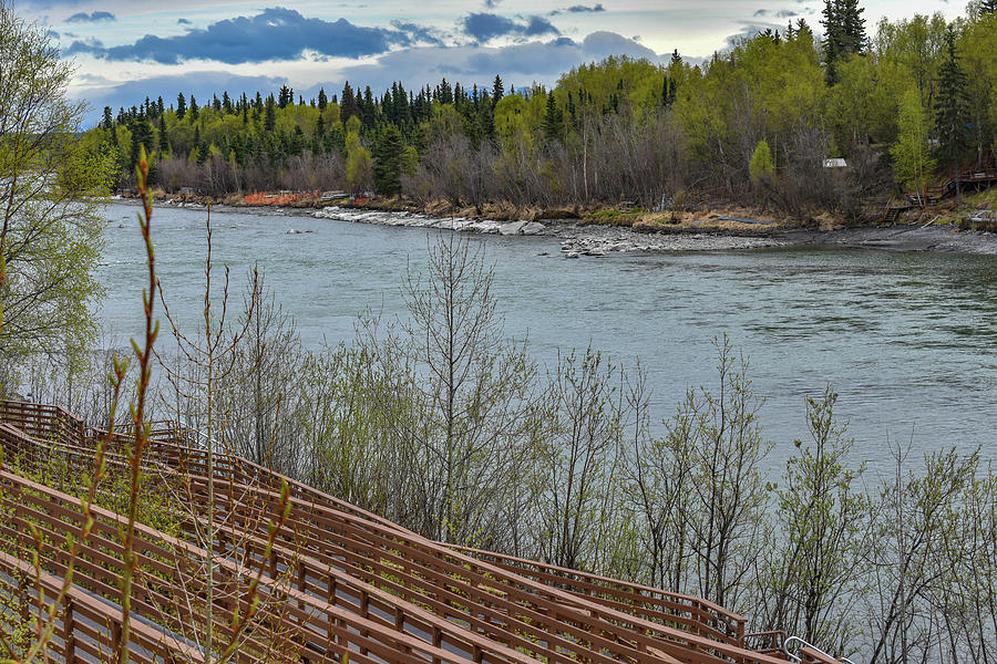 Kenai River Photograph - River, trees and Mountains by Crewdson Photography Kenai River Photograph - River, trees and Mountains by Crewdson Photography
