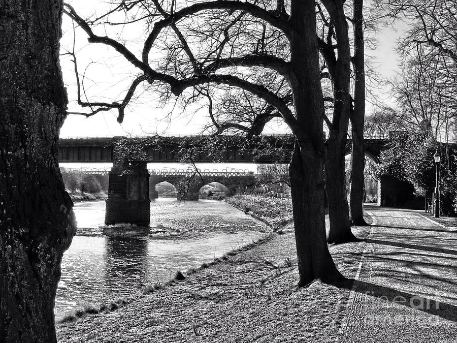 River View. At the Avenue of Limes in Monochrome Photograph by Joan-Violet Stretch