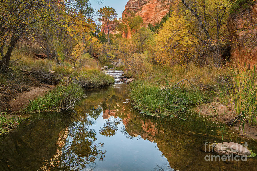 Zion National Park Photograph - River View in Zion by Jamie Pham
