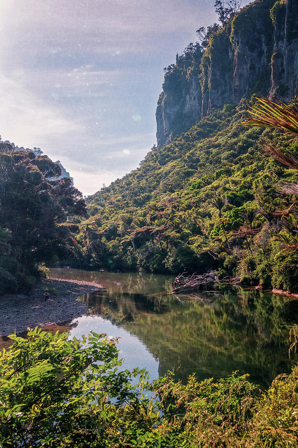Landscape Photograph - River Walk New Zealand by Joan Carroll