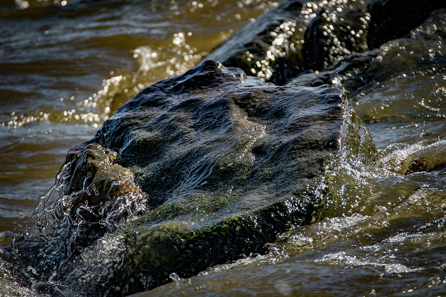 River Washed Rock Photograph by Ray Congrove