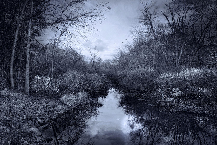 River Whispers Photograph by Robin-Lee Vieira