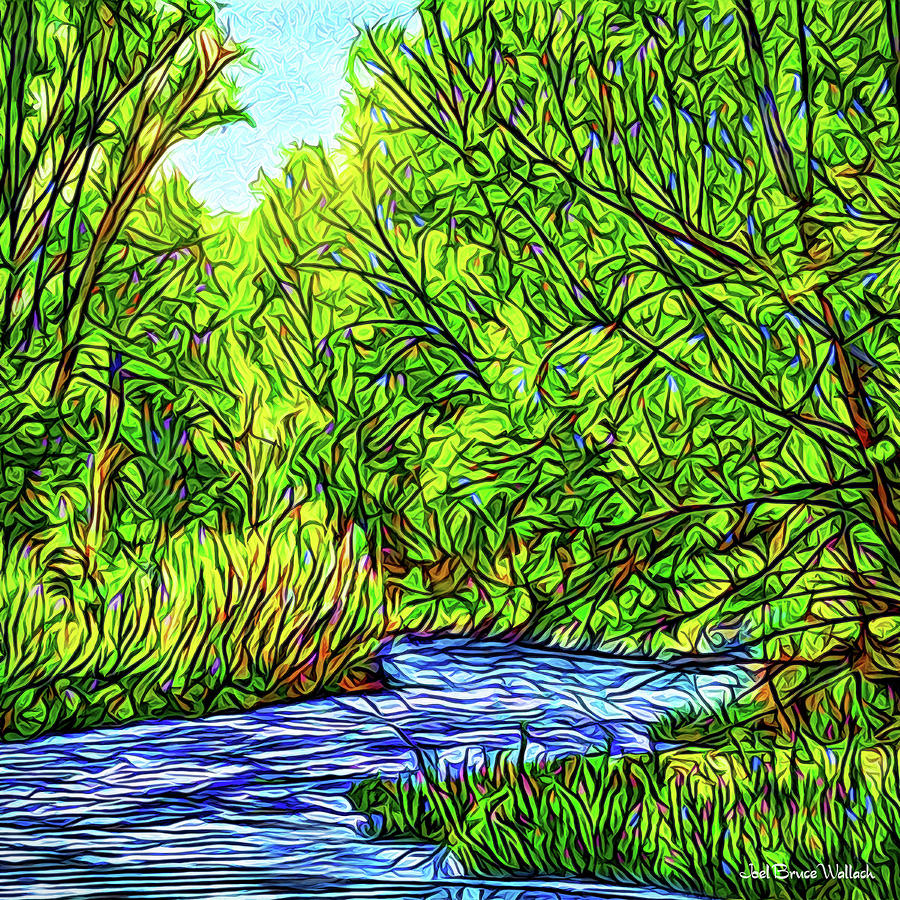 River With Emerald Trees - Boulder County Colorado Digital Art by Joel Bruce Wallach