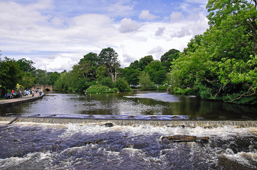 Tree Photograph - River Wye and Weir, Bakewell by Rod Johnson