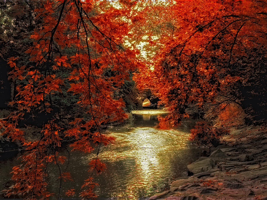 Riverbank Red Photograph by Jessica Jenney