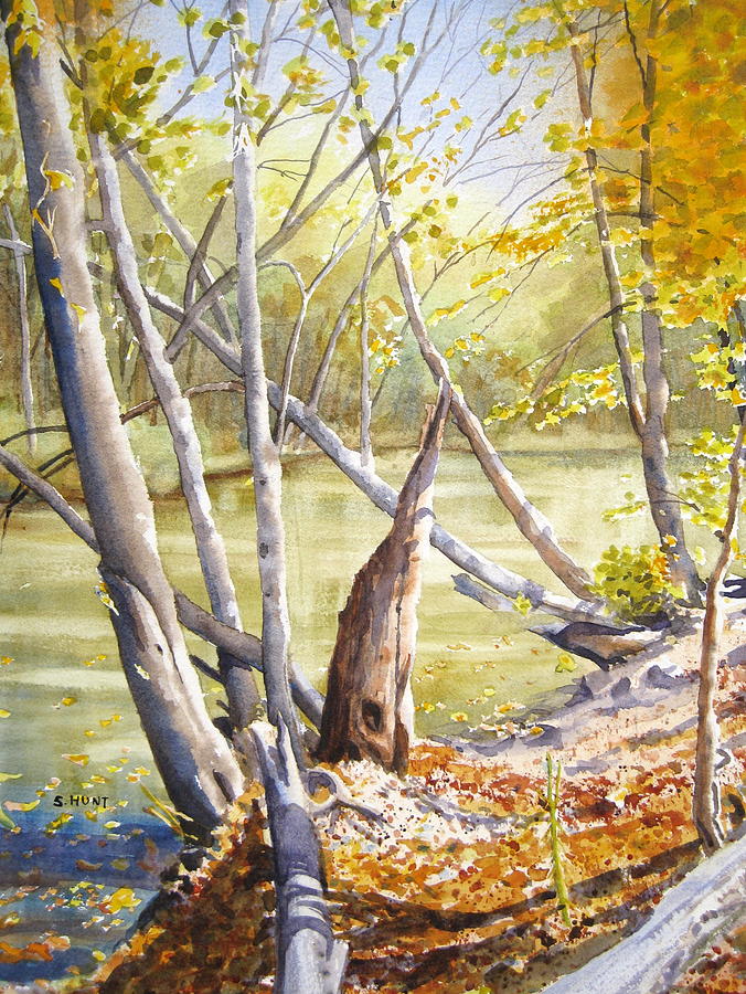 Riverbank Painting by Shirley Braithwaite Hunt