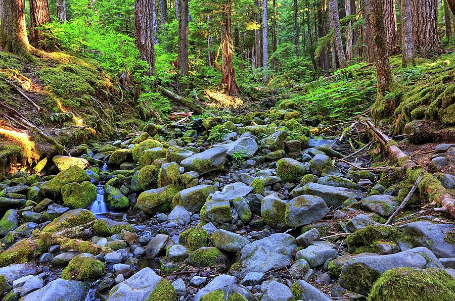 Riverbed Full Of Mossy Stones With Small Cascade Photograph By Kyle Lee