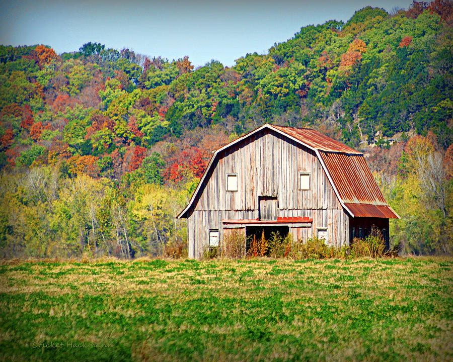 Riverbottom Barn in Fall Photograph by Cricket Hackmann