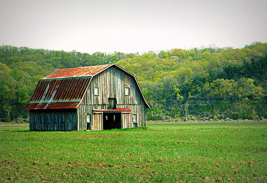 Barn Photograph - Riverbottom Barn in Spring by Cricket Hackmann