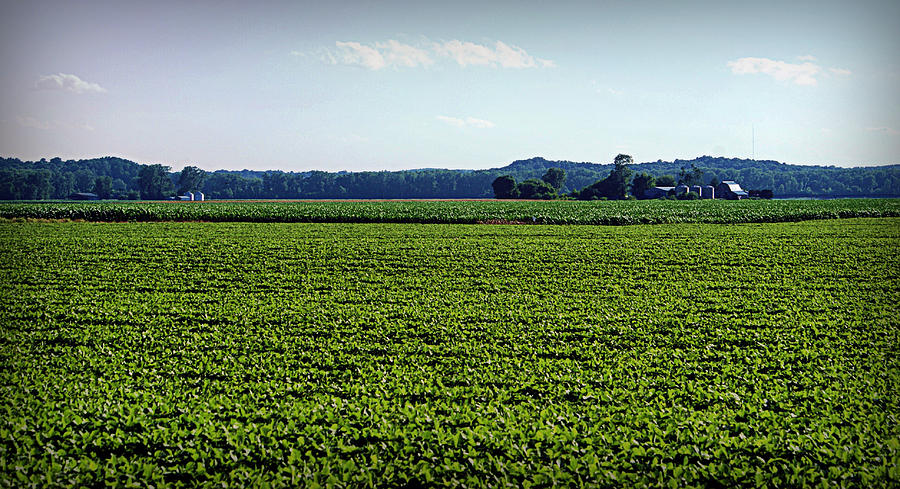 Missouri Photograph - Riverbottom Farms by Cricket Hackmann