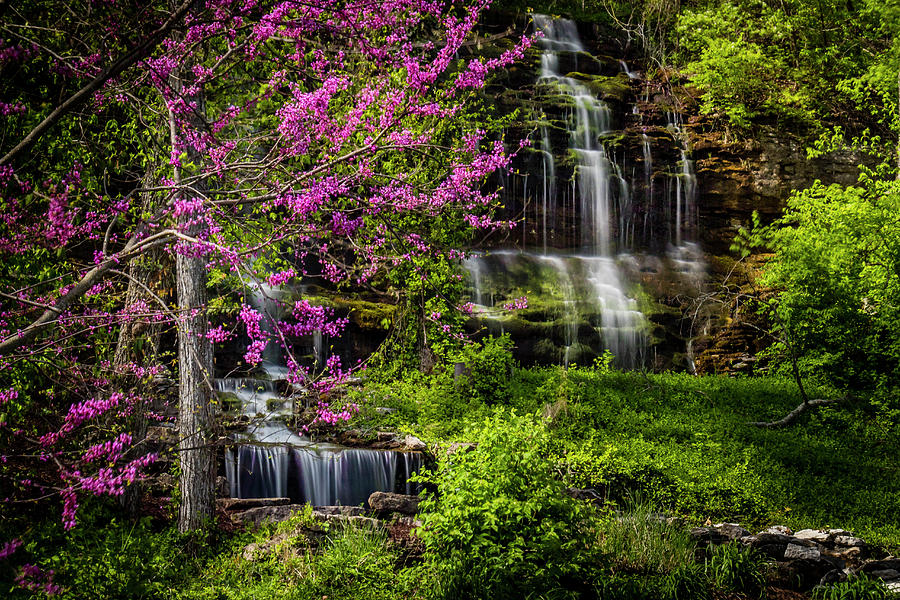 Rivercut Waterfall Photograph by Allin Sorenson