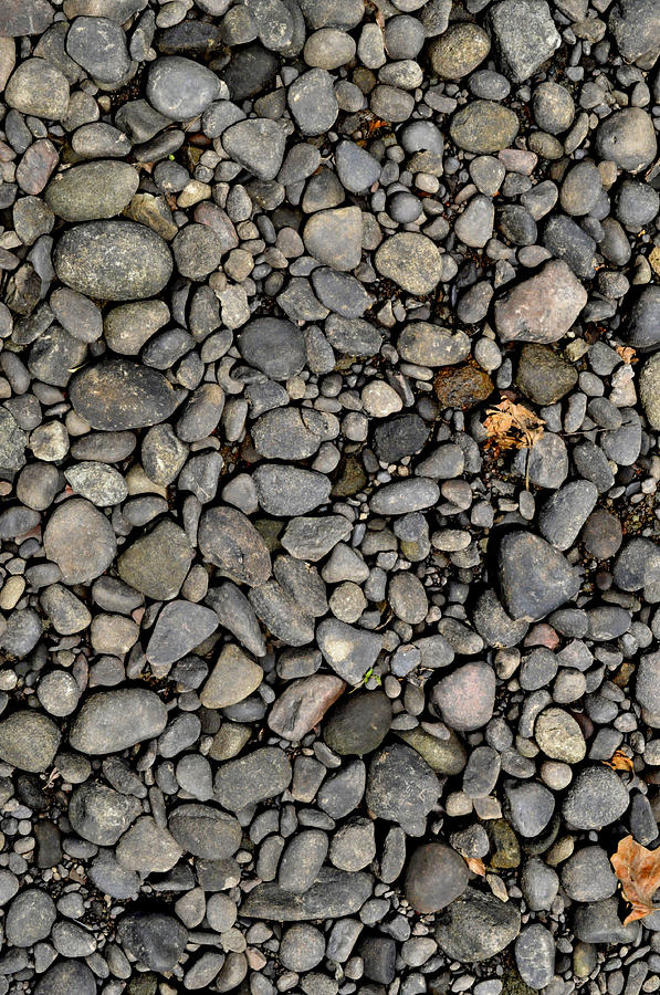 Pebbles Photograph - Riverrocks by Donna Petersen