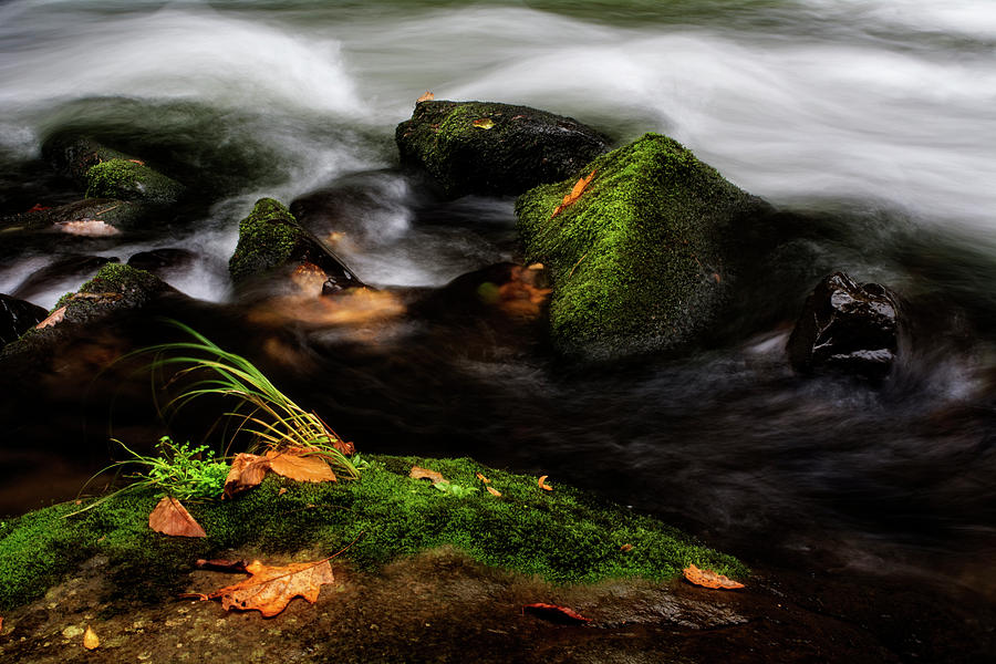 Water Photograph - Rivers Edge by Greg and Chrystal Mimbs