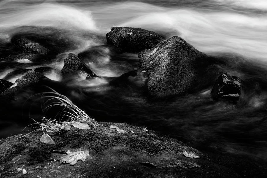 Water Photograph - Rivers Edge In Black and White by Greg and Chrystal Mimbs