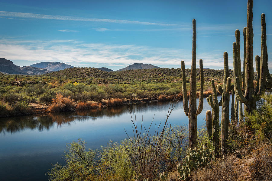 Riverside in the Sonoran  Photograph by Saija Lehtonen