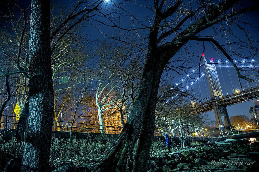 Tree Photograph - Riverside Nights by Peter J DeJesus