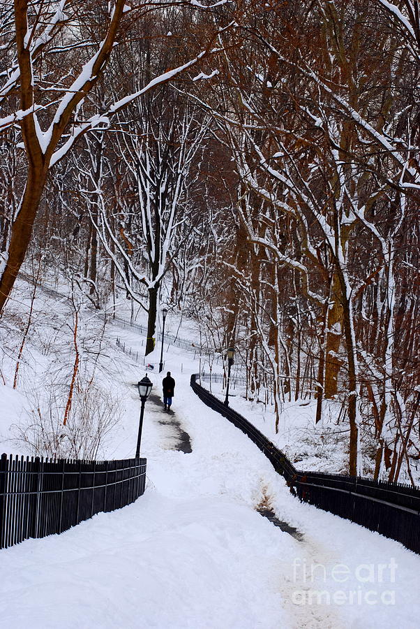 Riverside Park in Snow Photograph by Andrea Simon