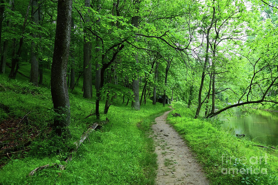 Riverside Woodland Trail in Patapsco Valley State Park Photograph by James Brunker
