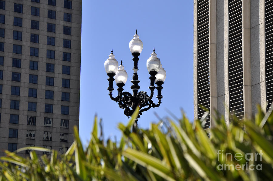 Riverwalk Lamp Photograph by Andrew Dinh