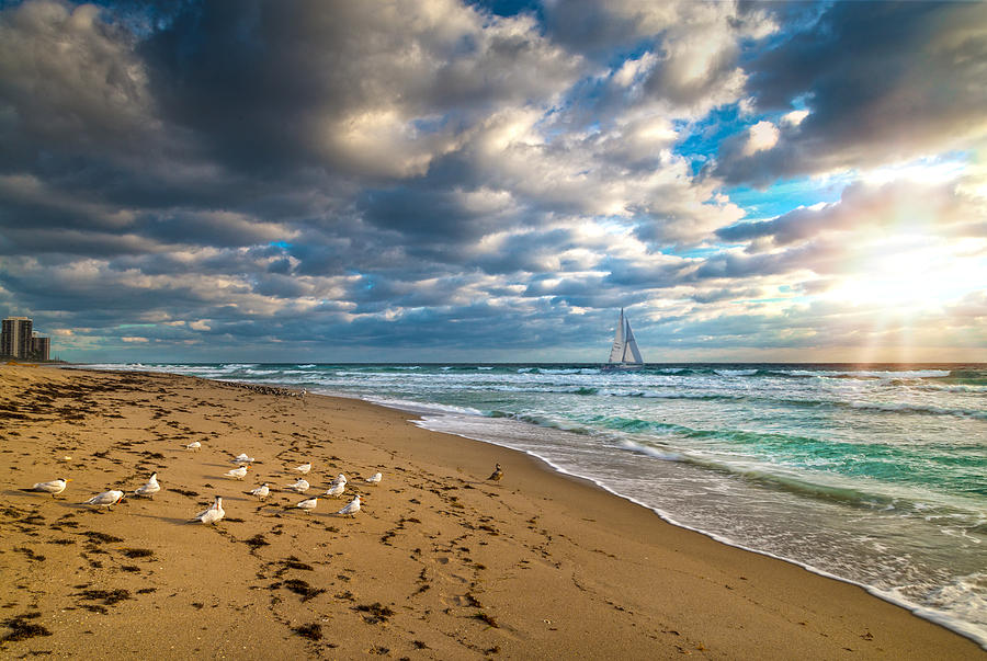 Riviera Beach Sunrise Photograph by Lynn Bauer