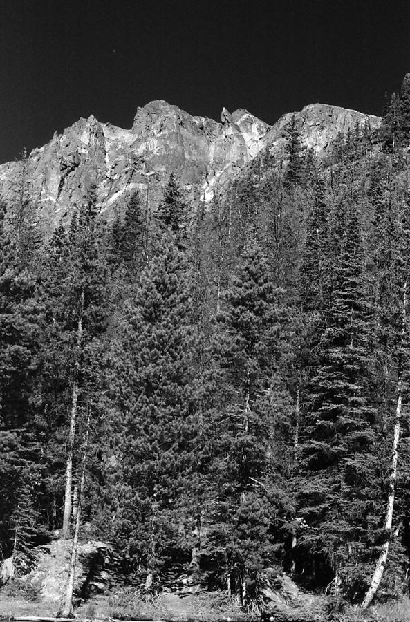 RMNP - Infrared 16 Photograph by Pamela Critchlow