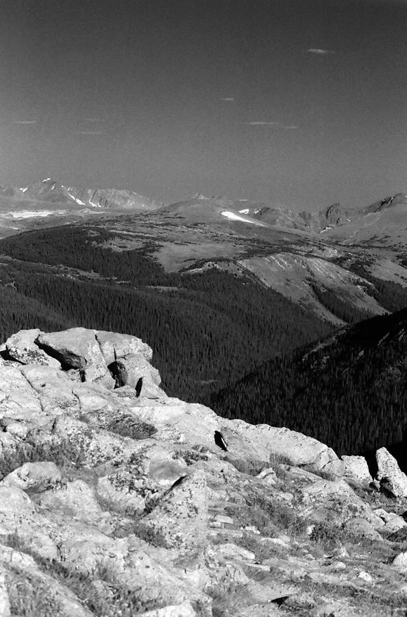 RMNP - Infrared 31 Photograph by Pamela Critchlow