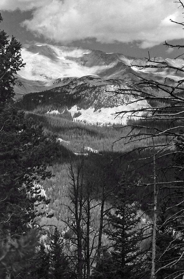 RMNP - Infrared 43 Photograph by Pamela Critchlow