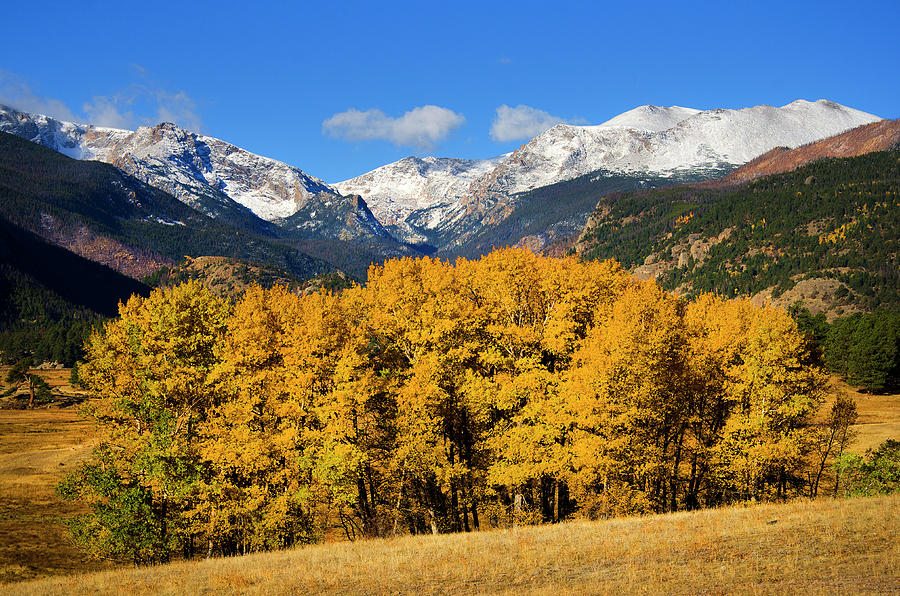 RMNP - Moraine Park Photograph by Kirk Siegler - Fine Art America