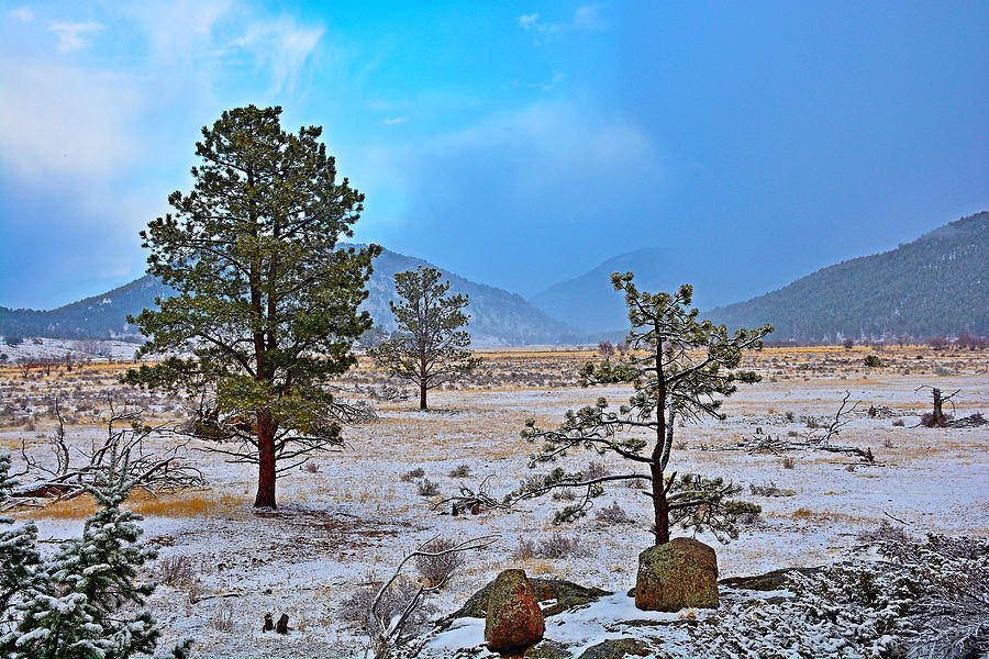 RMNP Winter Study 3 Photograph by Robert Meyers-Lussier