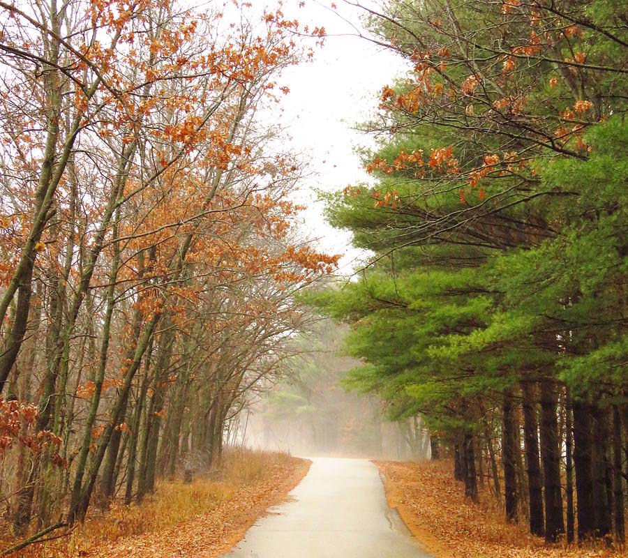 Road Between Seasons Photograph by Lori Frisch