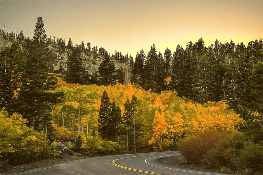 Road in Autum Photograph by Maria Coulson