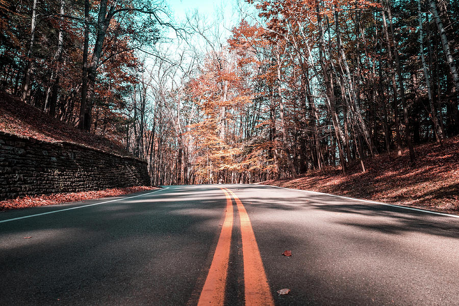 Road in Fall Photograph by Dave Niedbala