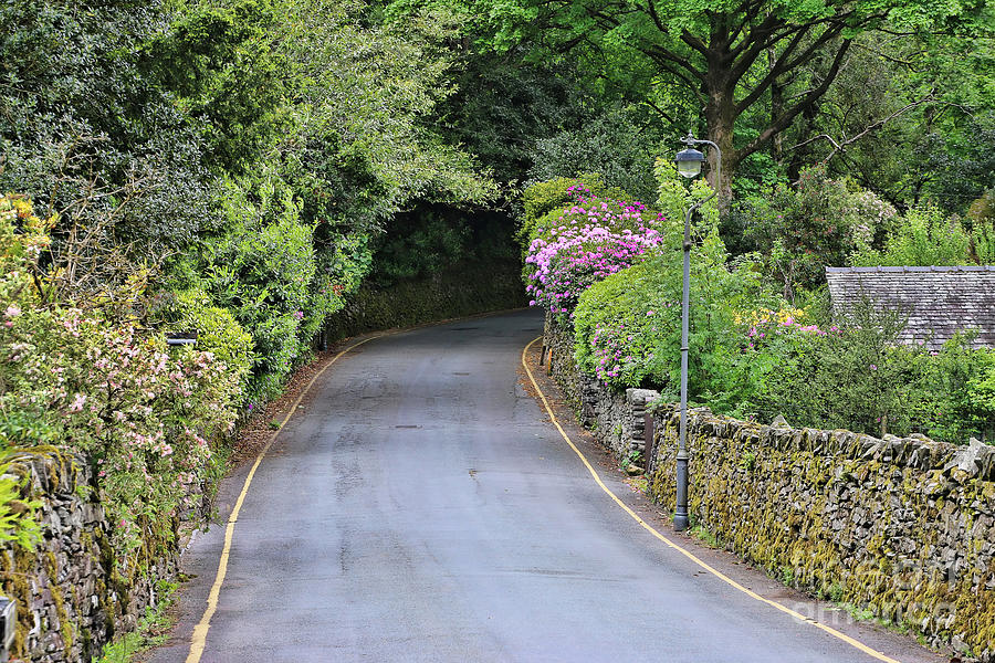Road in Lake District  6719 Photograph by Jack Schultz