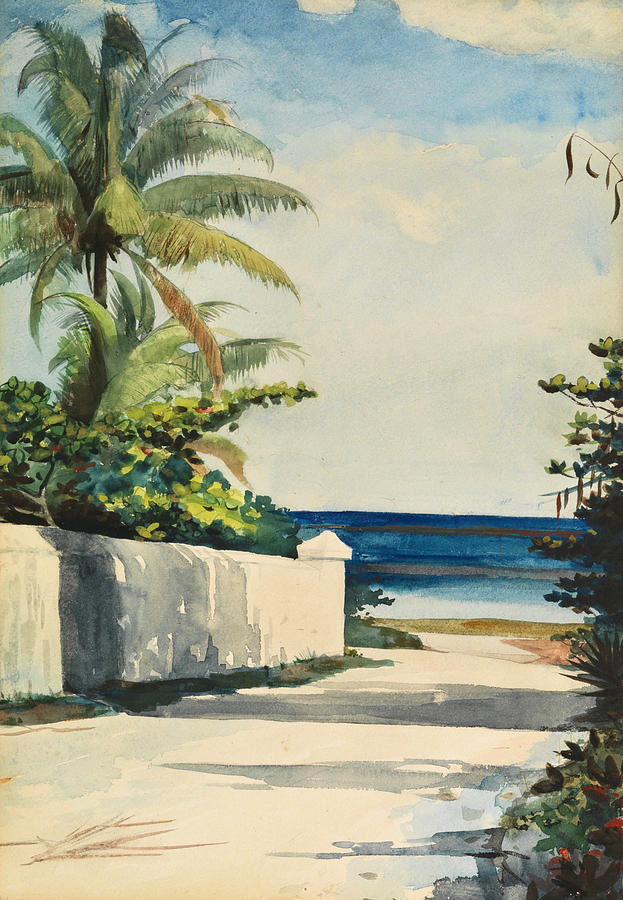Road in Nassau, No. 1 Nassau Street Drawing by Winslow Homer