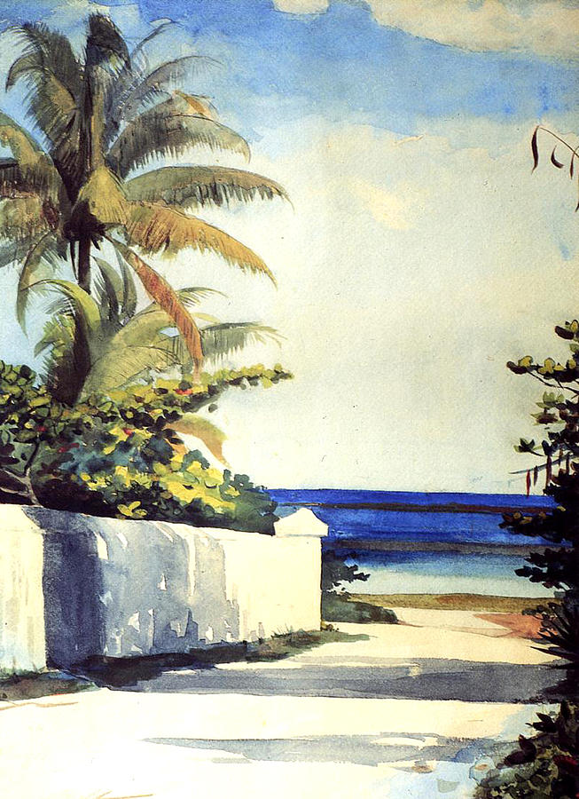 Road In Nassau Painting by Winslow Homer